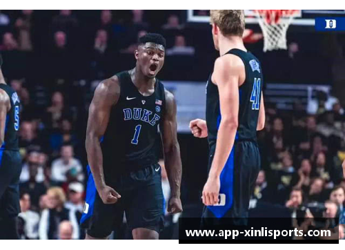 新利体育官方网站NBA锡安：天赋与冠军路探索未来之星的成长与潜力 - 副本