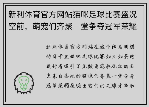 新利体育官方网站猫咪足球比赛盛况空前，萌宠们齐聚一堂争夺冠军荣耀